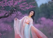 Little Girls Short-sleeved Hanfu Skirts:A Blend of Tradition and Modernity