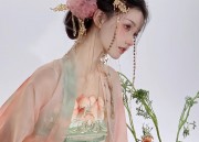 The Magnificent Rise of Hanfu Womens Shoes:A Journey into the Realm of Imperial Grace