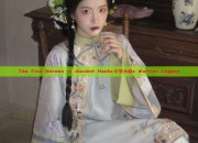 The Five Heroes in Ancient Hanfu:斗罗大陆s Warrior Legacy