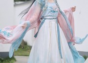 The Evolution of Traditional Hanfu Hair Ornaments:The Post-Press Tassel and Phoenix Crown