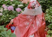 A Celebration of Lunar New Year:The Splendor of Traditional Hanfu Shoes