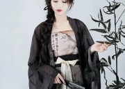 The Revival of Jin-Style Hanfu with Half-Sleeves