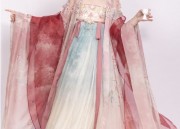 The Headdress of Tang-Style Hanfu Wedding Dress:A Glimpse into Ancient Chinese Bridal Beauty