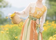 New Years Tang Suit Womens Blouse:A Blend of Tradition and Modernity