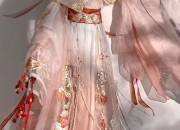 Embroidery-Adorned Shoes and the Elegance of Winter Womens Hanfu Traditional Chinese Clothing