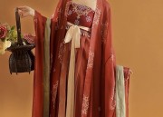 New Chinese Style Womens Horseface Skirt Ensemble