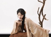 The Rise of Hanfu Style Bags:A Blend of Traditional Elegance and Modern Fashion