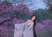The Complete Guide to Traditional Chinese Face-Covering Hanfu Accessories