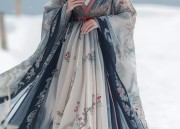 The Enchanting World of Rabbit-Themed Hanfu Fashion:The Journey of Yutus Elegance