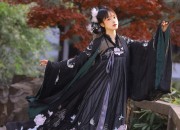 Traditional Tang Suit for Women:The Allure of the Conjoined Jacket
