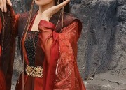 The Splendor of Hanfu:The Charm of Chezi Skirts and Da Xiu Robes