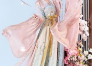 The Bridal Hair Accessories of Hanfu Traditional Chinese Wedding