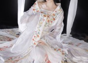 The Splendor of Hanfu:Tang-Style and its Tang Dynasty Vibe