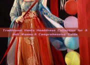 Traditional Hanfu Headdress Collection for Adult Women:A Comprehensive Guide