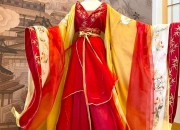 The Splendor of Hanfu:The Phoenix Among the Birds
