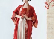 Autumn and Winter Womens Tang-Style Hanfu Fashion:A Guide to Traditional Elegance