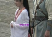Spring River Blooming:The Splendor of Hanfu in the Flower-Moonlit Nights