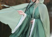 The Splendor of Ming-Style Robes:The Long Gown and Horse-Face Skirt