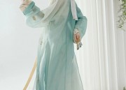 Lace-Adorned Womens Cheongsam:A Blend of Tradition and Modernity