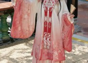 The Evolution of Cheongsam Dress:A Modern Makeover of the Traditional Cheongsam-Style Dress