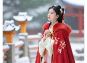 Elegant Hanfu Style:The Rise of Pearl-Adorned Strappy Hanfu Costumes