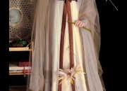 Short-Style Cheongsam Blouses for Women:A Single-Piece Elegance