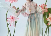 Black Traditional Chinese Style Horseface Skirt Ensemble