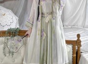 The Splendor of Traditional Hanfu Hair Accessories:The Story of Flower-Inserted Combs