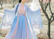 Ming Dynasty Hanfu:The Splendor of Traditional Chinese Clothing