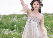 Luxury Mid-Length Silk Cheongsam A Classic Elegance