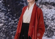 The Splendor of Hanfu Chest Decorations:A Journey into Traditional Chinese Elegance