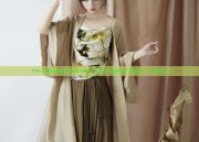 The Splendid World of Liu Yujings Hanfu Fashion