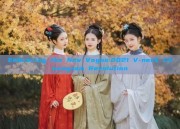 Embracing the New Vogue:2021 V-neck Cheongsam Revolution