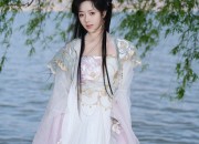 Elegant Ancient Costume Jackets for Women:A Journey into Traditional Chinese Clothing