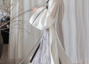 Exploring the Charm of Spring Outings in Traditional Hanfu Fashion
