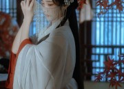 Winter Hanfu Fashion:Ancient Beauty in Modern Light