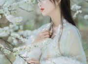 Month-Inspired Cheongsam:The Evolution of Traditional Chinese Fashion