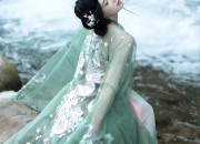 Ruyi Liangjin Cheongsam:A Glimpse into Traditional Chinese Elegance