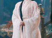 The Splendid Beauty of Ming Dynastys Hanfu Women in the Flying Fish Costume