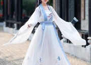 The Aroma of Acetic Dress:The Cheongsam as a Belly-Covering Elegance