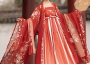 New Year in Ancient Style:The Journey of a Hanfu Student