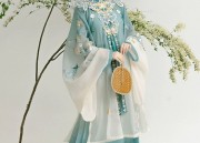 The Radiance of White Ming-Style Hanfu:A Journey Through Traditional Elegance