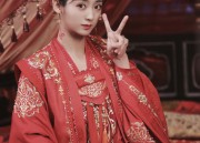 Hanfu Skirt:A Solo Purchase of Traditional Chinese Elegance