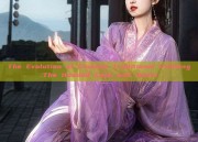 The Evolution of Chinese Traditional Clothing:The Hooded Cape and Hanfu