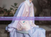 The Enchantment of Pink Hanfu:A Journey into Traditional Chinese Elegance