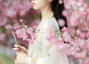 The Intricacies of Button Plackets and Sleek Hangings in Cheongsam Design