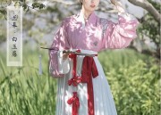 The Inner Layers of Traditional Chinese Hanfu Clothing:A Guide to Collared Blouses