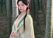 The Rise of Ming-Style Hanfu Hair Ornaments and Wigs:A Blend of Tradition and Modernity