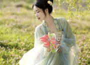 The Splendor of Late Ming-Style Hanfu:The Crown of Phoenix and the Robe of Dawn