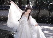 Fortune Bag Clothes:The Revival of Hanfu Traditional Chinese Fashion
